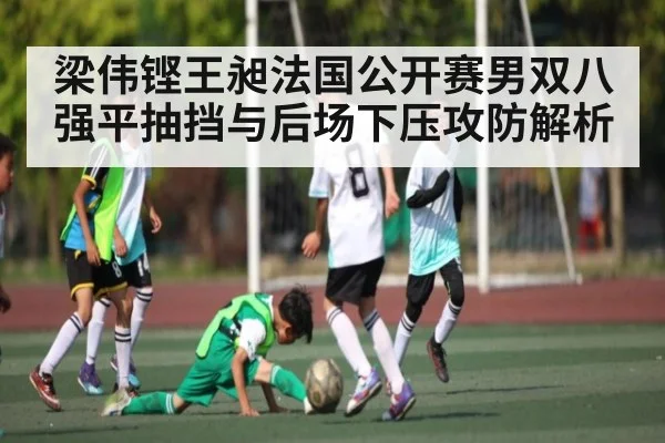 梁伟铿王昶法国公开赛男双八强平抽挡与后场下压攻防解析