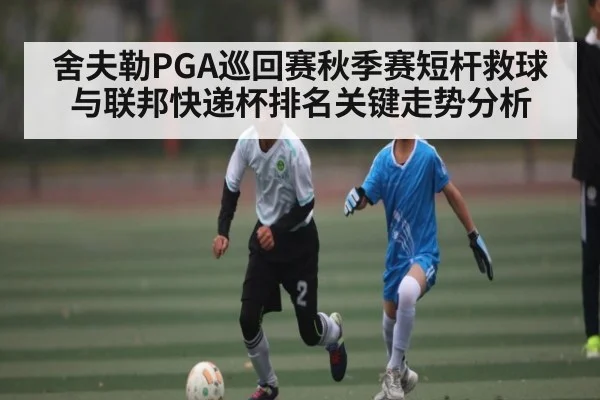 舍夫勒PGA巡回赛秋季赛短杆救球与联邦快递杯排名关键走势分析